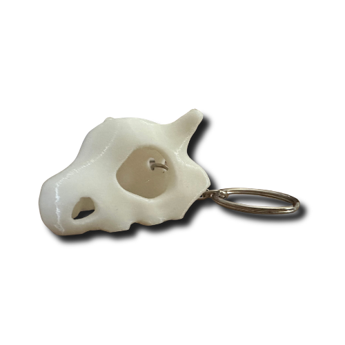 Cubone Skull Keyring (White Texture)